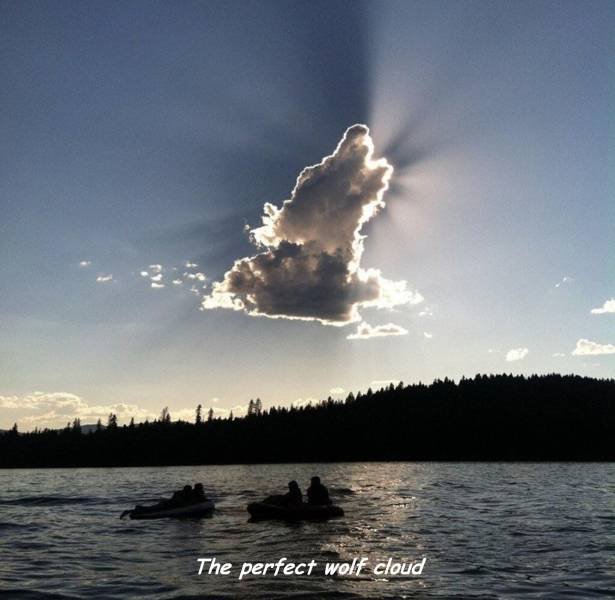 Bildschirmarbeiter - Picdump 06.04.2018