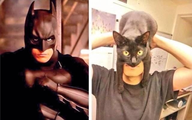 Bildschirmarbeiter - Picdump 06.04.2018