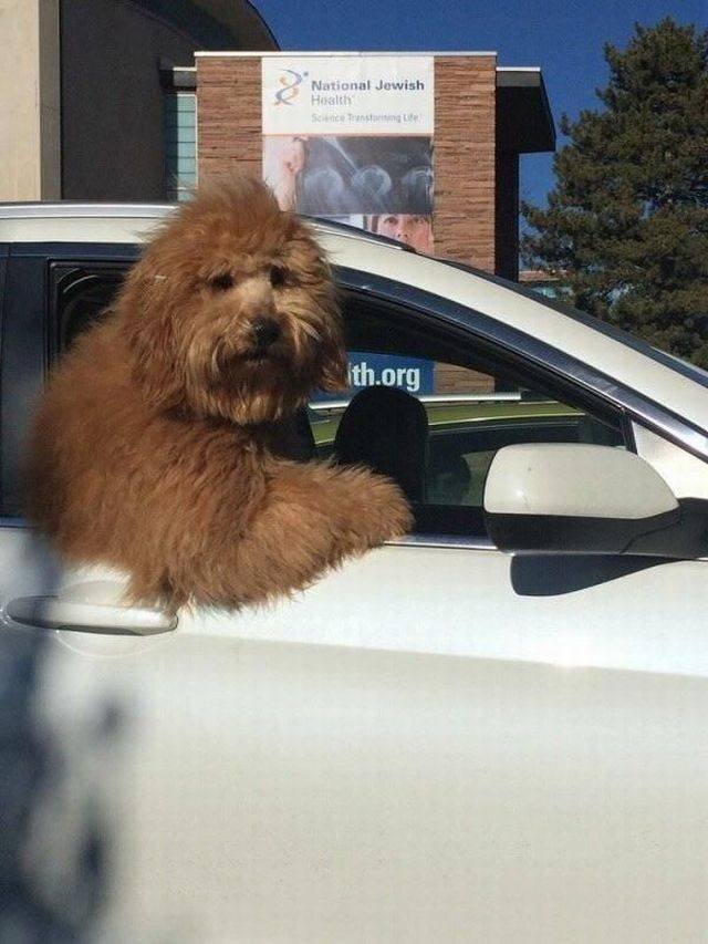 Bildschirmarbeiter - Picdump 06.04.2018