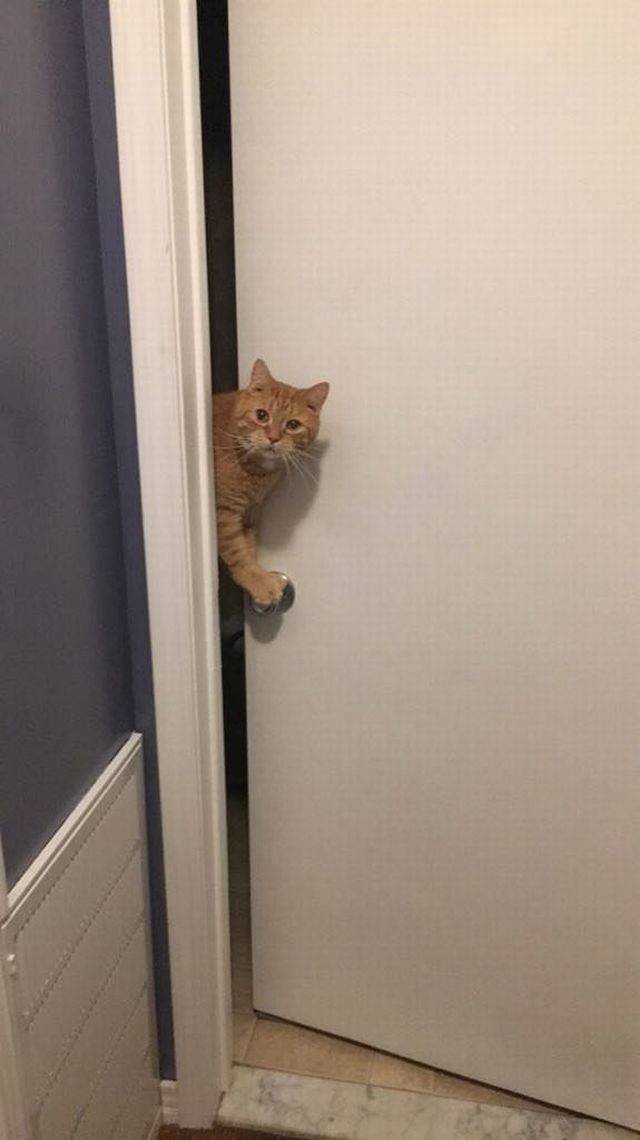 Bildschirmarbeiter - Picdump 06.04.2018