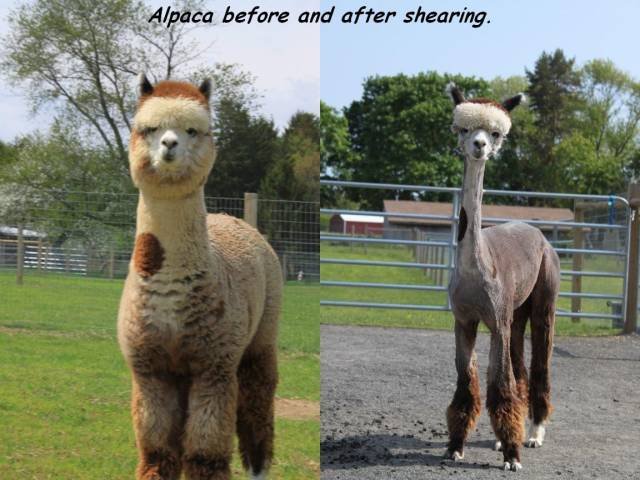 Bildschirmarbeiter - Picdump 13.04.2018