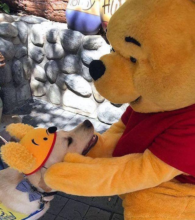 Bildschirmarbeiter - Picdump 13.04.2018