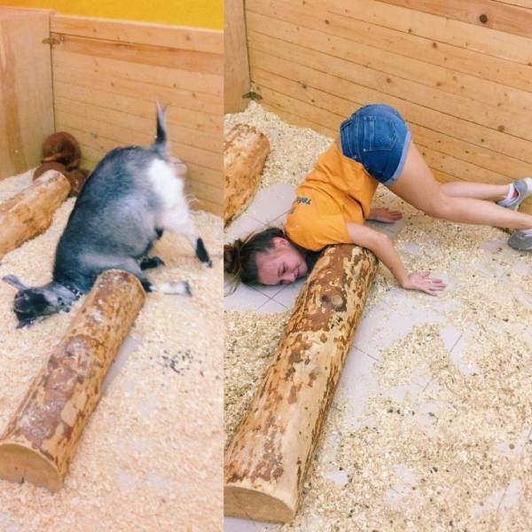 Bildschirmarbeiter - Picdump 13.04.2018