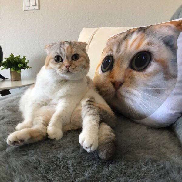 Bildschirmarbeiter - Picdump 13.04.2018