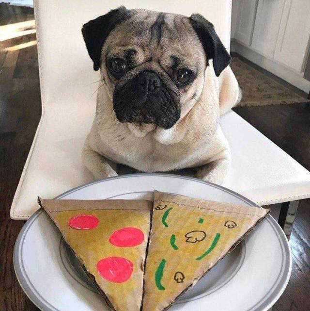 Bildschirmarbeiter - Picdump 13.04.2018