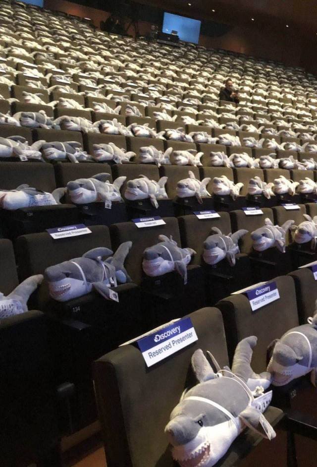 Bildschirmarbeiter - Picdump 13.04.2018