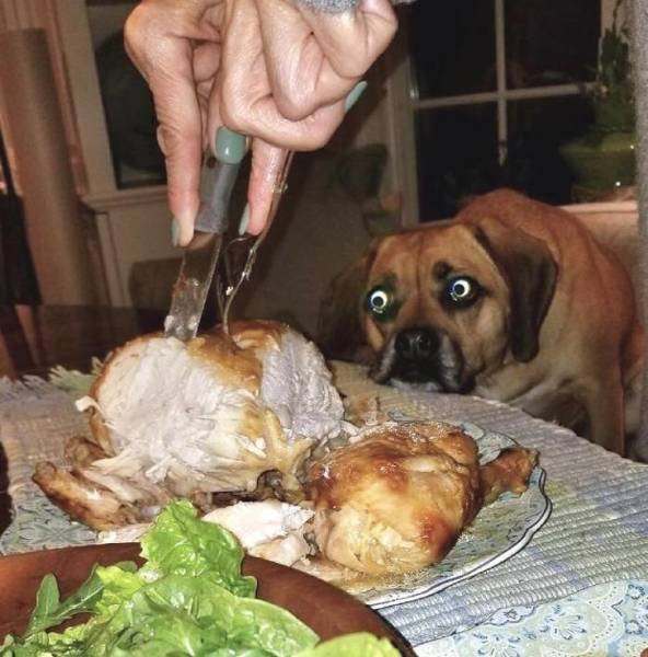 Bildschirmarbeiter - Picdump 13.04.2018