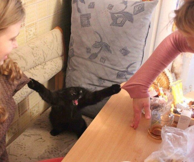 Bildschirmarbeiter - Picdump 13.04.2018