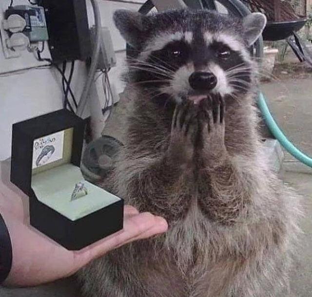 Bildschirmarbeiter - Picdump 13.04.2018