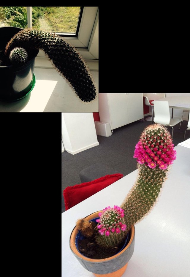 Bildschirmarbeiter - Picdump 13.04.2018