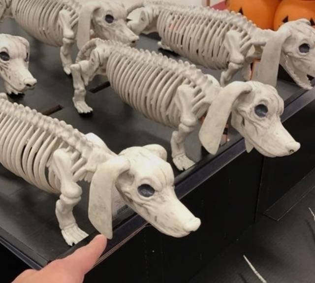 Bildschirmarbeiter - Picdump 13.04.2018