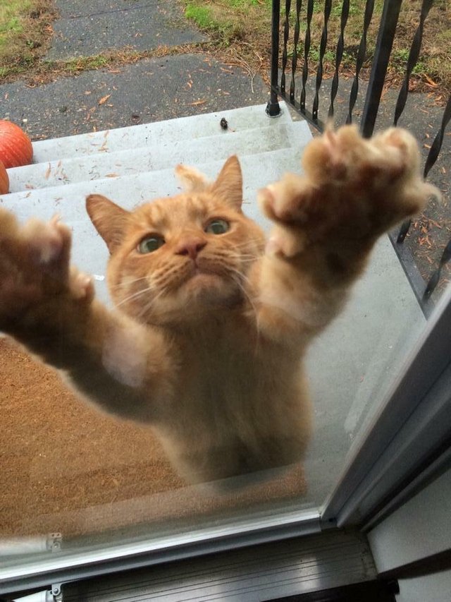 Bildschirmarbeiter - Picdump 20.04.2018