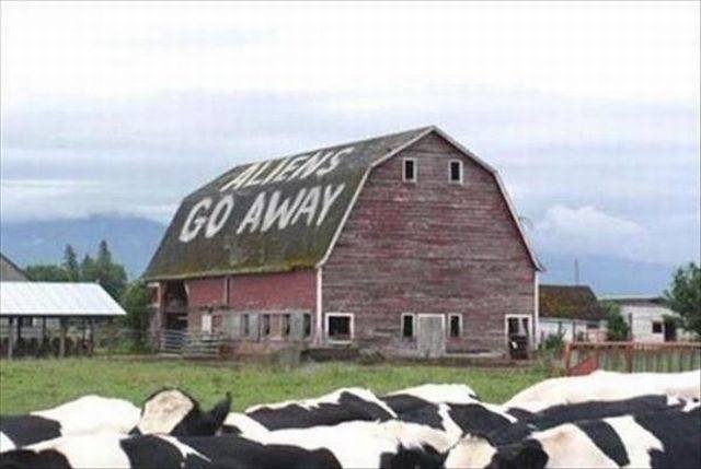 Bildschirmarbeiter - Picdump 20.04.2018