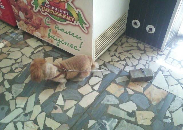 Bildschirmarbeiter - Picdump 20.04.2018