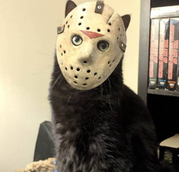 Bildschirmarbeiter - Picdump 20.04.2018