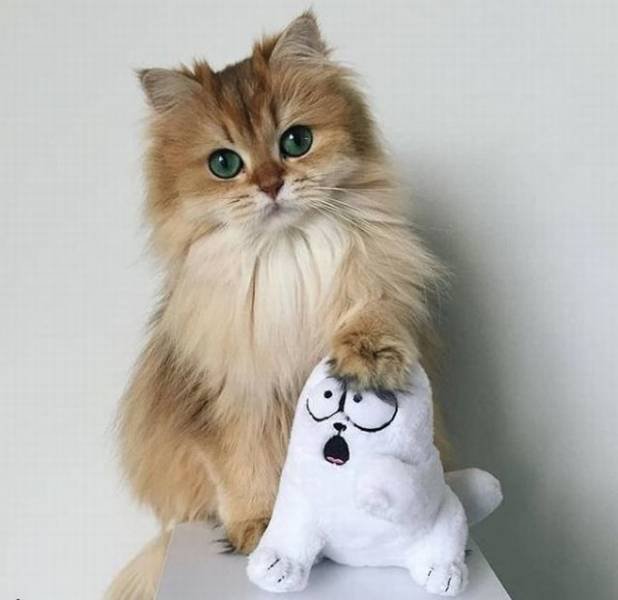 Bildschirmarbeiter - Picdump 20.04.2018