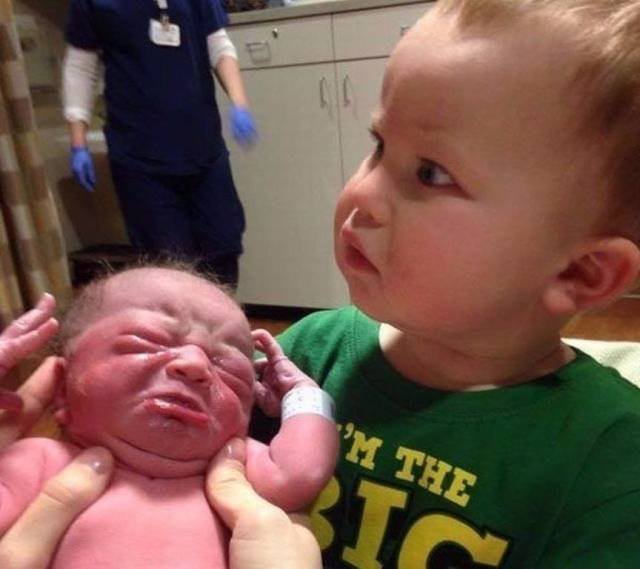 Bildschirmarbeiter - Picdump 20.04.2018