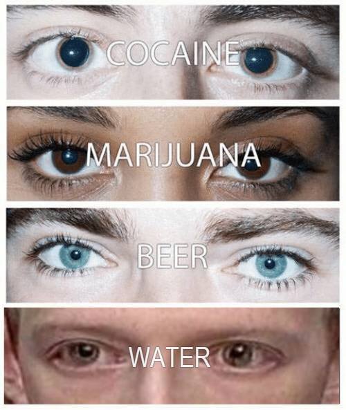 Bildschirmarbeiter - Picdump 20.04.2018