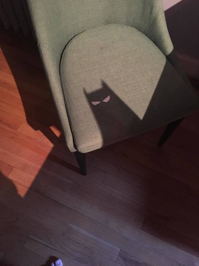 Bildschirmarbeiter - Picdump 20.04.2018