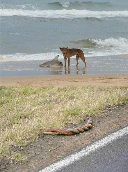 Bildschirmarbeiter - Picdump 20.04.2018