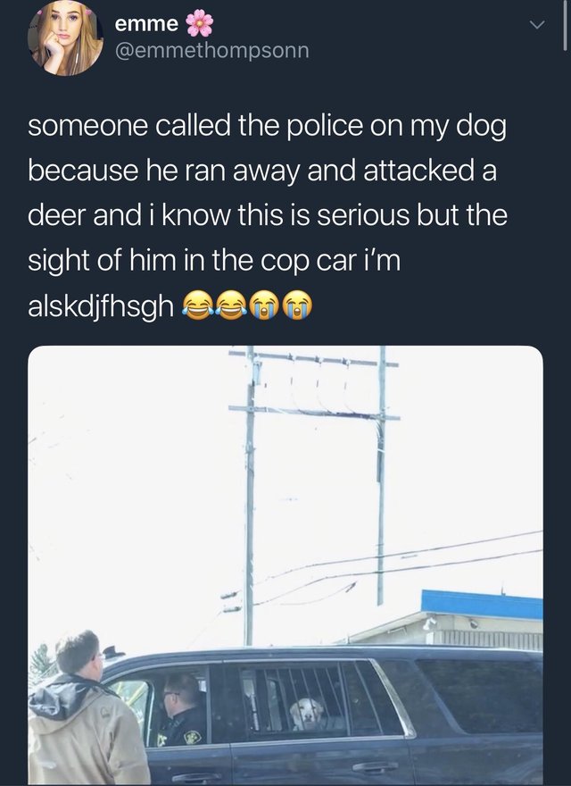 Bildschirmarbeiter - Picdump 20.04.2018