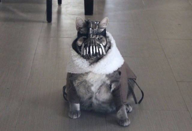 Bildschirmarbeiter - Picdump 27.04.2018