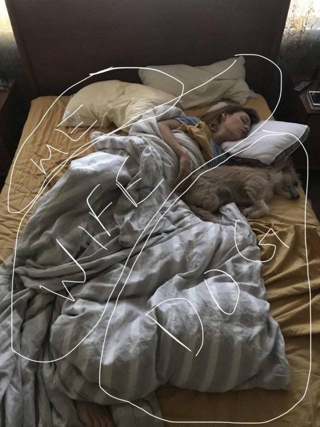 Bildschirmarbeiter - Picdump 27.04.2018