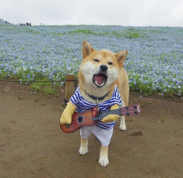 Bildschirmarbeiter - Picdump 27.04.2018