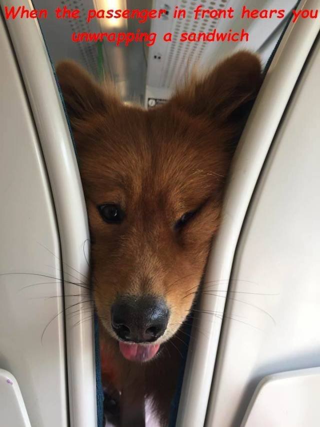 Bildschirmarbeiter - Picdump 27.04.2018