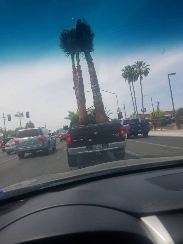 Bildschirmarbeiter - Picdump 27.04.2018