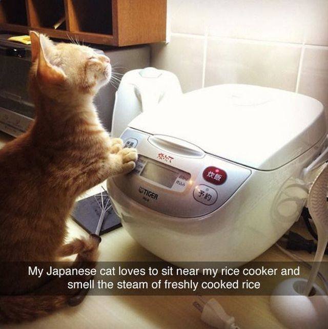 Bildschirmarbeiter - Picdump 27.04.2018