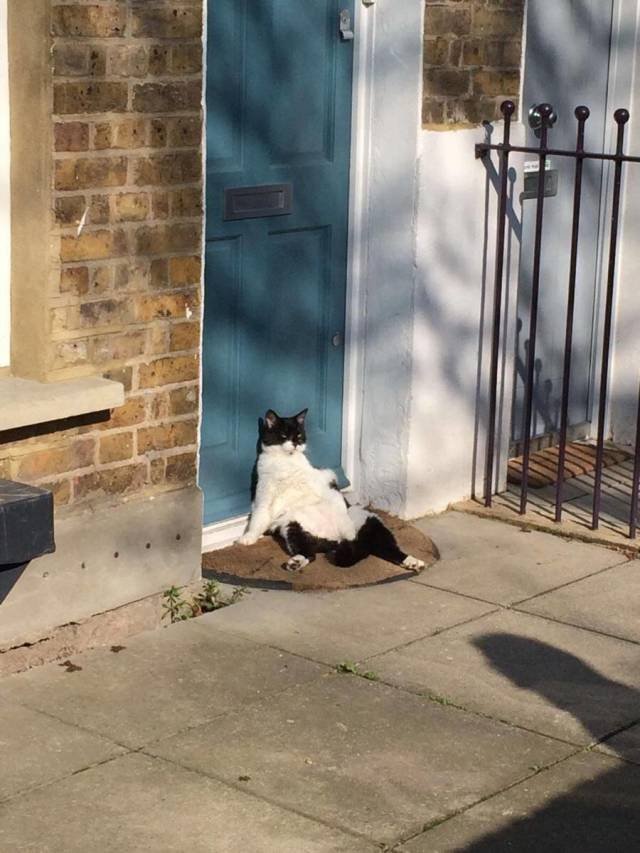 Bildschirmarbeiter - Picdump 27.04.2018