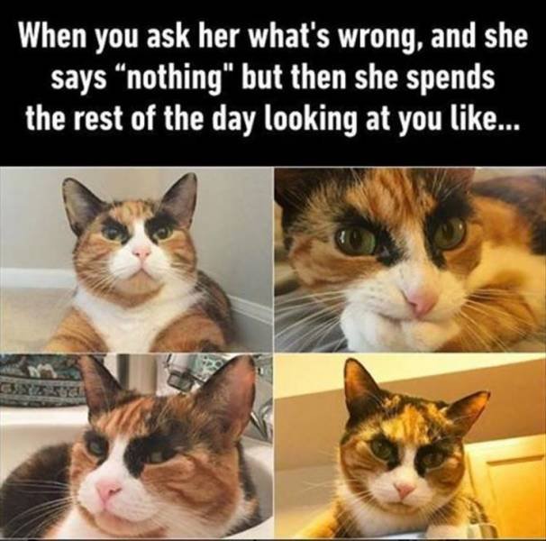 Bildschirmarbeiter - Picdump 27.04.2018