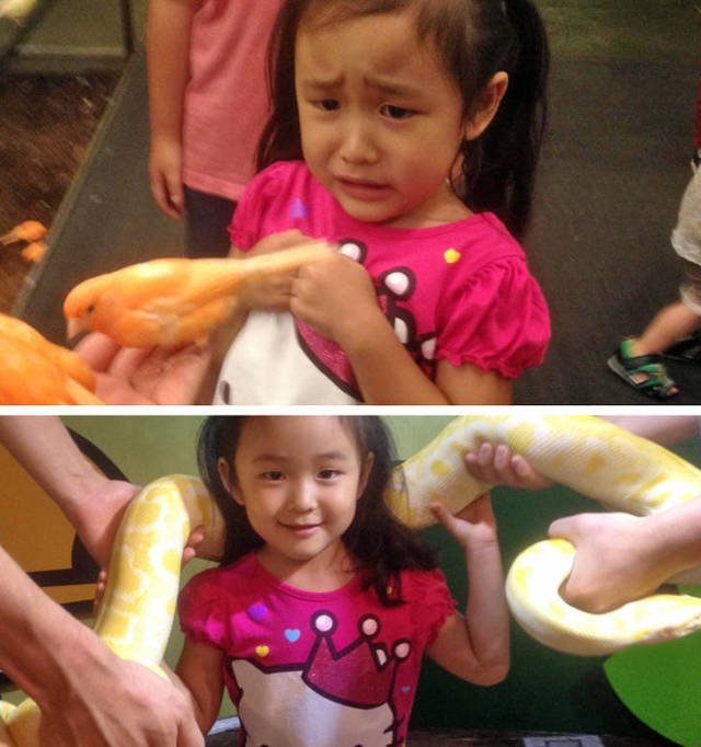 Bildschirmarbeiter - Picdump 27.04.2018