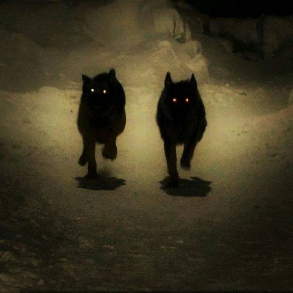 Bildschirmarbeiter - Picdump 27.04.2018