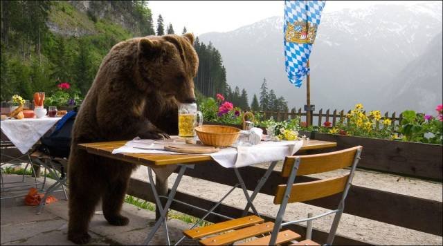 Bildschirmarbeiter - Picdump 04.05.2018