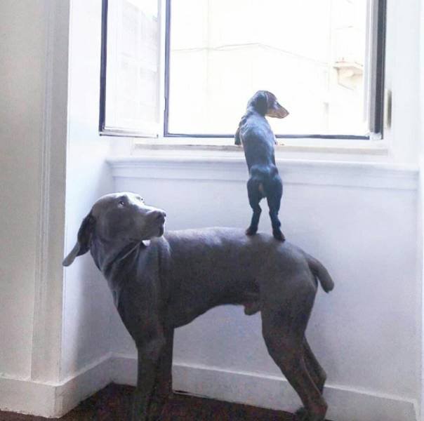 Bildschirmarbeiter - Picdump 04.05.2018