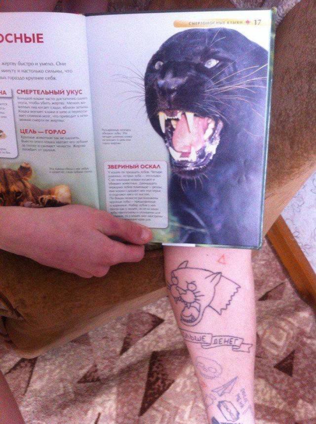 Bildschirmarbeiter - Picdump 04.05.2018