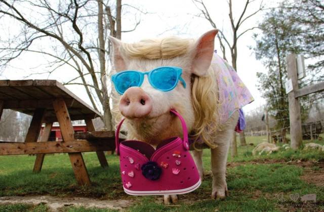 Bildschirmarbeiter - Picdump 04.05.2018