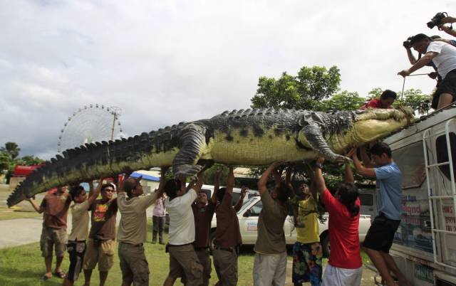 Bildschirmarbeiter - Picdump 04.05.2018