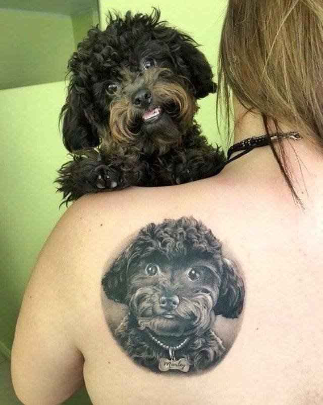 Bildschirmarbeiter - Picdump 04.05.2018