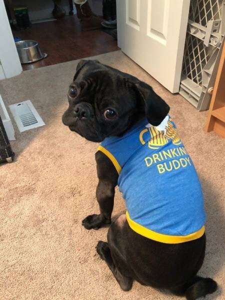 Bildschirmarbeiter - Picdump 04.05.2018