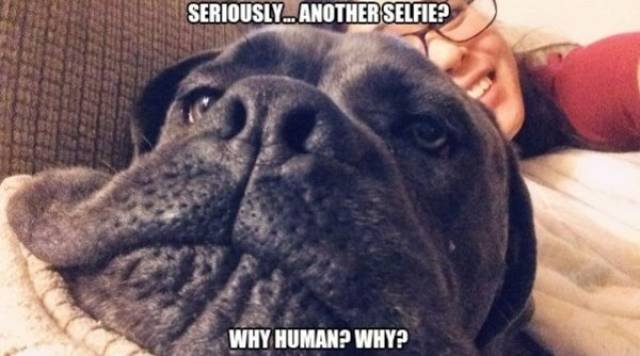 Bildschirmarbeiter - Picdump 04.05.2018