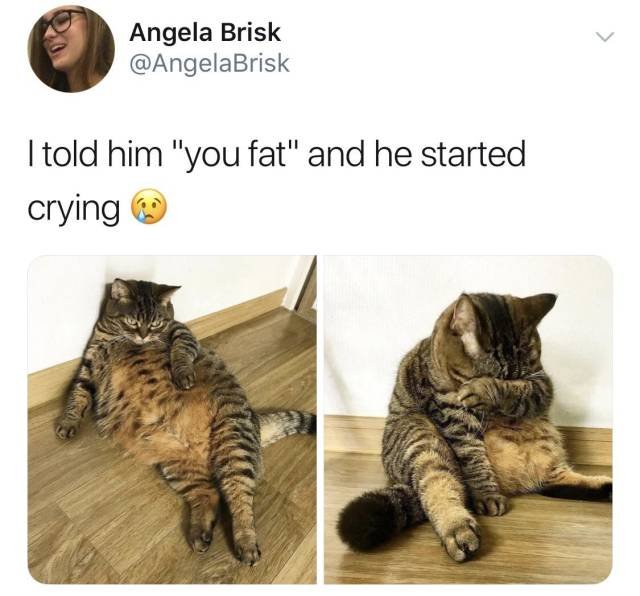 Bildschirmarbeiter - Picdump 04.05.2018