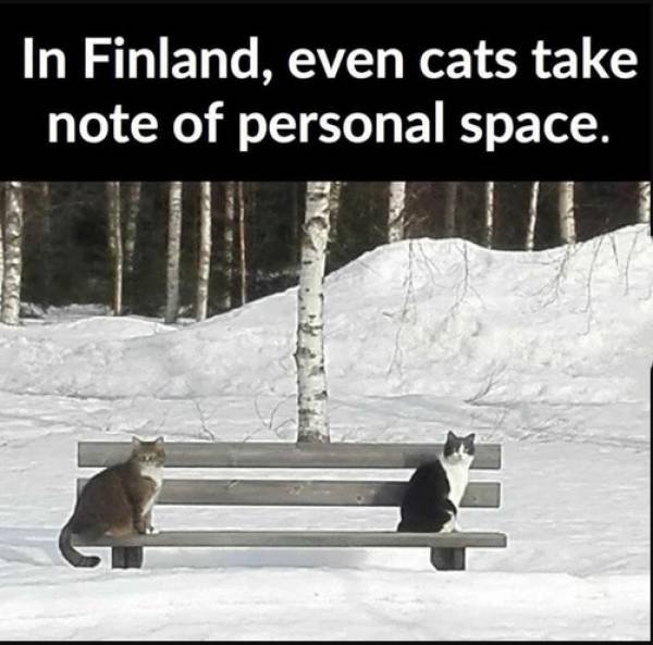 Bildschirmarbeiter - Picdump 04.05.2018