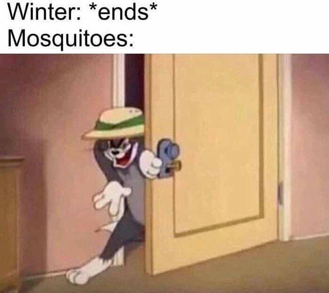 Bildschirmarbeiter - Picdump 04.05.2018