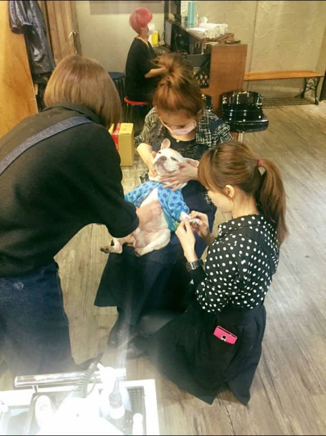 Bildschirmarbeiter - Picdump 04.05.2018