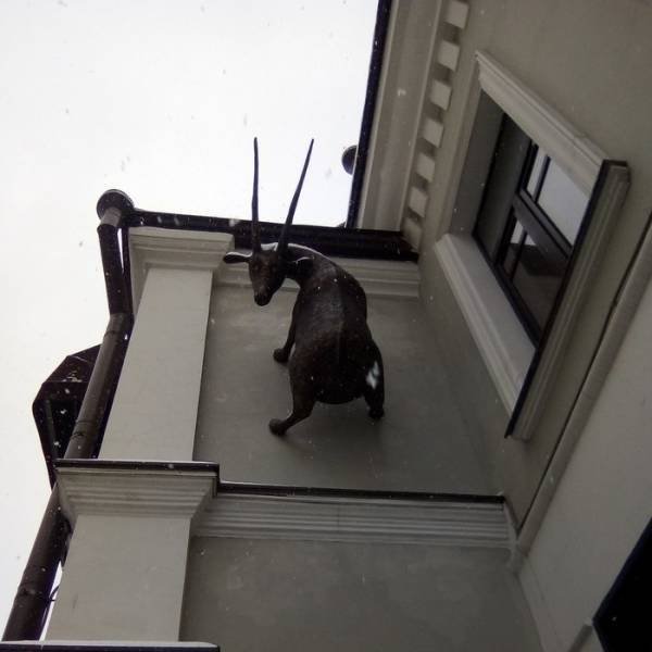 Bildschirmarbeiter - Picdump 04.05.2018