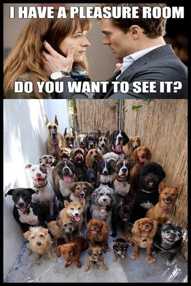 Bildschirmarbeiter - Picdump 11.05.2018