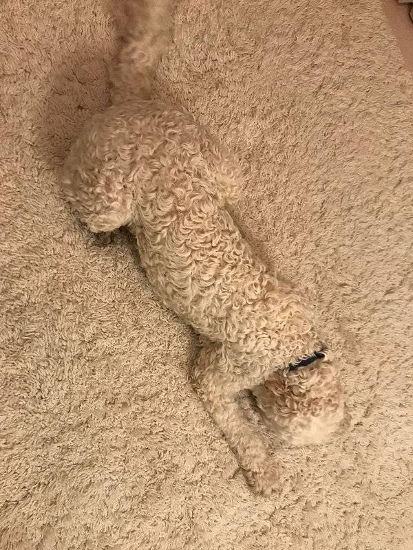 Bildschirmarbeiter - Picdump 11.05.2018